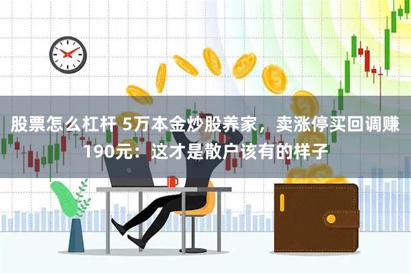股票怎么杠杆 5万本金炒股养家，卖涨停买回调赚190元：这才是散户该有的样子