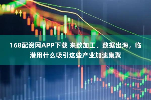 168配资网APP下载 来数加工、数据出海，临港用什么吸引这些产业加速集聚