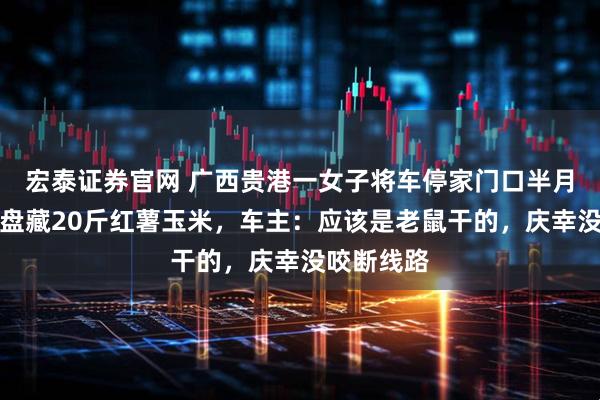 宏泰证券官网 广西贵港一女子将车停家门口半月，发现底盘藏20斤红薯玉米，车主：应该是老鼠干的，庆幸没咬断线路